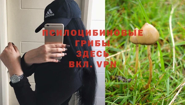 альфа пвп VHQ Гусиноозёрск